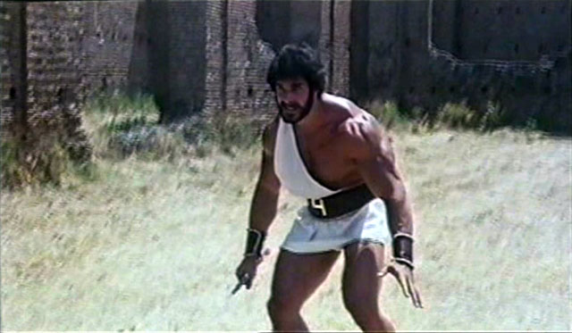Lou Ferrigno Hercules