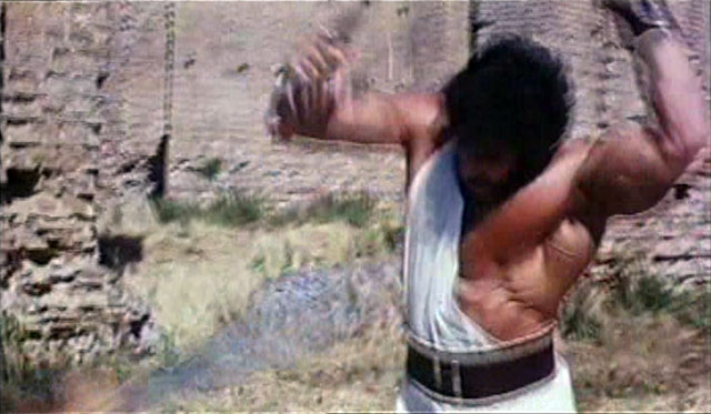 Lou Ferrigno Hercules