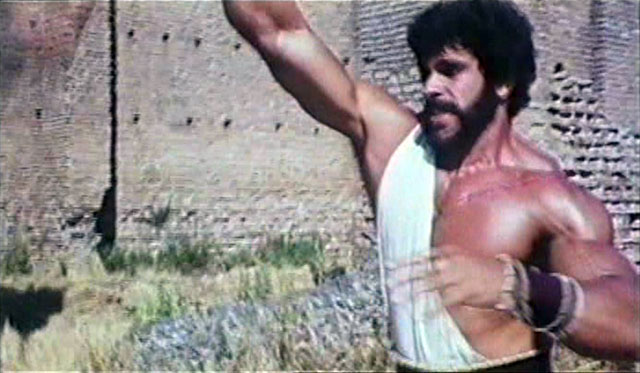 Lou Ferrigno Hercules