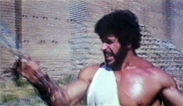 Lou Ferrigno Hercules