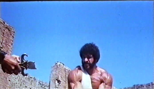 Lou Ferrigno Hercules