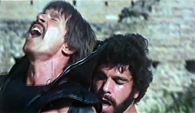 Lou Ferrigno Hercules