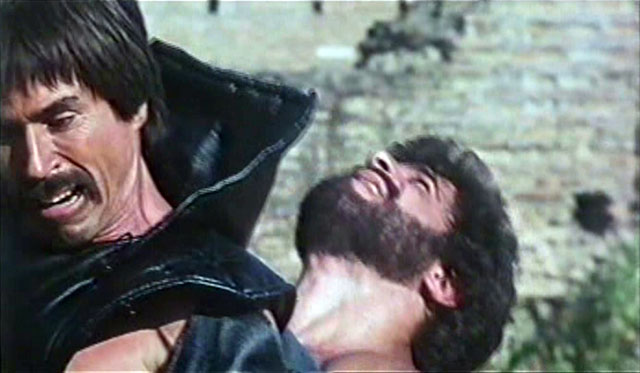 Lou Ferrigno Hercules