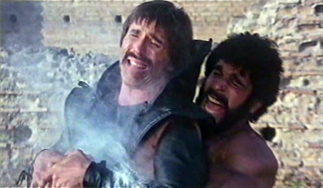 Lou Ferrigno Hercules