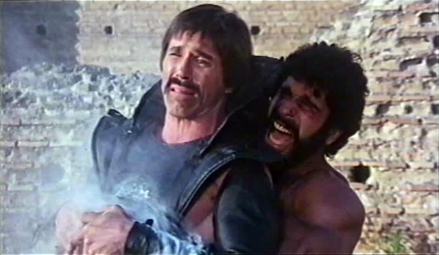 Lou Ferrigno Hercules