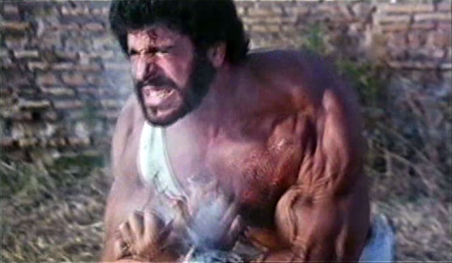 Lou Ferrigno Hercules