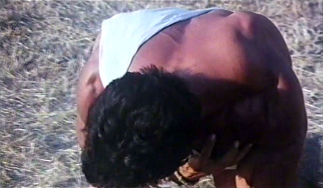 Lou Ferrigno Hercules