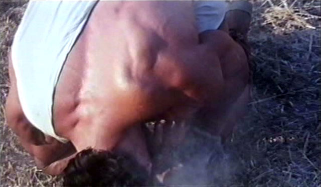 Lou Ferrigno Hercules