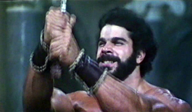 Lou Ferrigno Hercules