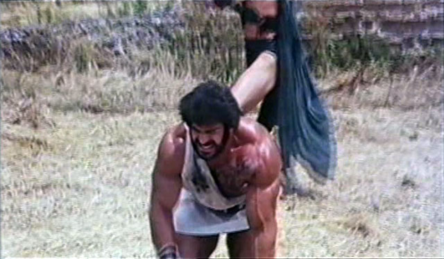 Lou Ferrigno Hercules