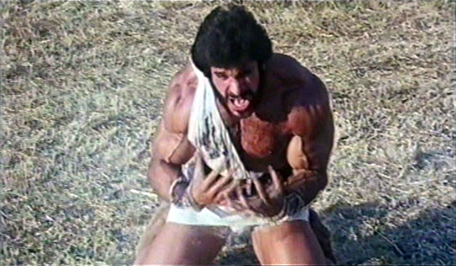 Lou Ferrigno Hercules