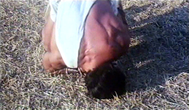 Lou Ferrigno Hercules