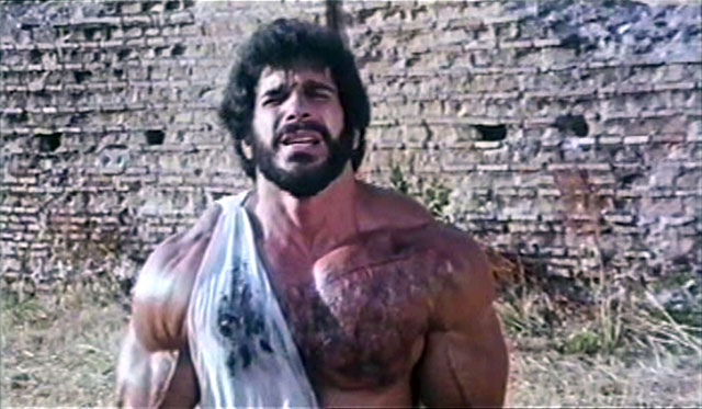 Lou Ferrigno Hercules
