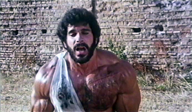 Lou Ferrigno Hercules