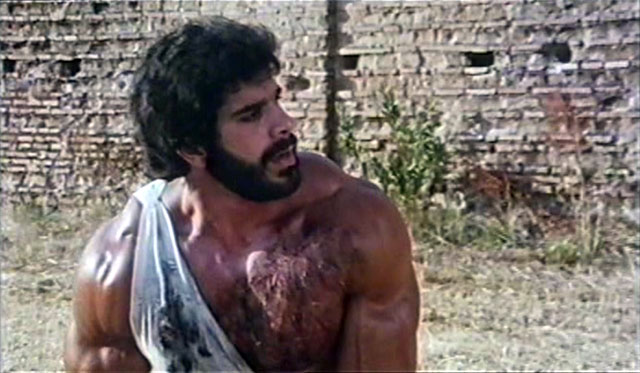 Lou Ferrigno Hercules