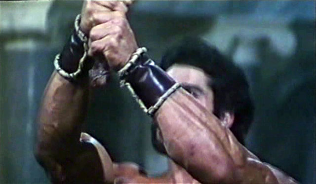 Lou Ferrigno Hercules