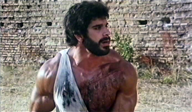 Lou Ferrigno Hercules