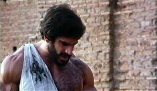 Lou Ferrigno Hercules