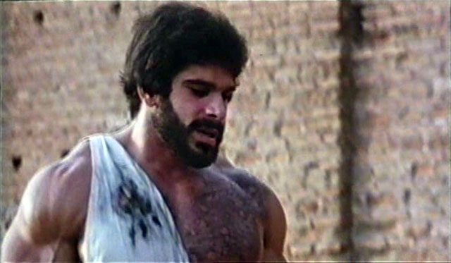Lou Ferrigno Hercules