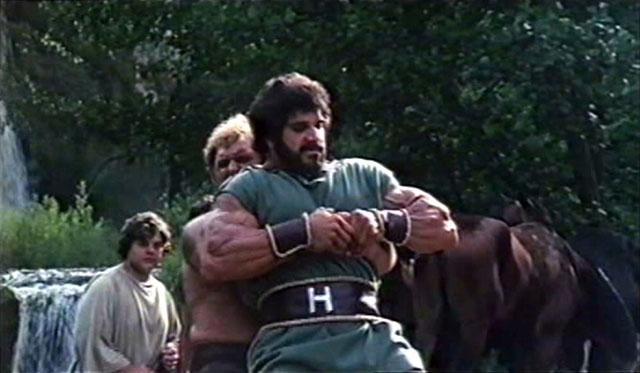 Lou Ferrigno Hercules