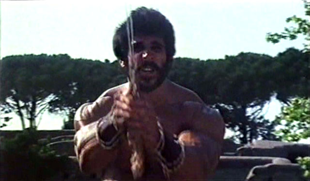 Lou Ferrigno Hercules