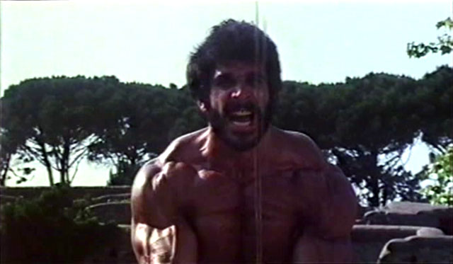 Lou Ferrigno Hercules