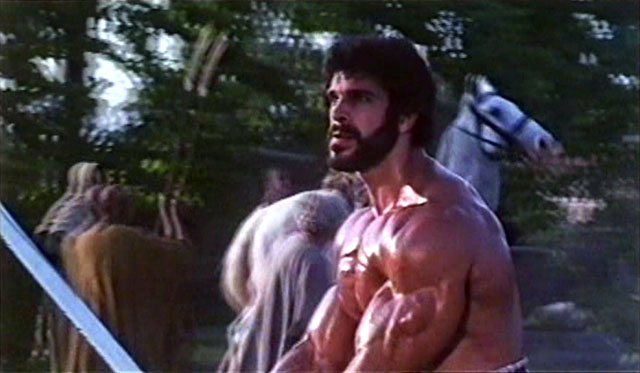 Lou Ferrigno Hercules