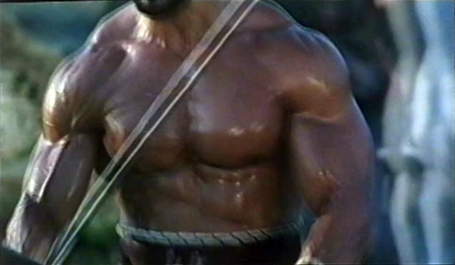 Lou Ferrigno Hercules