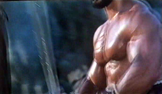 Lou Ferrigno Hercules