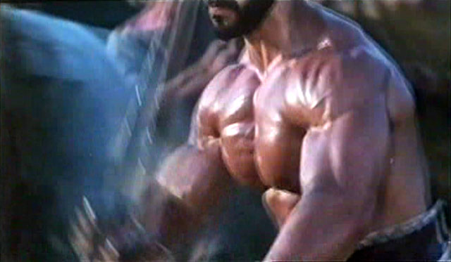 Lou Ferrigno Hercules