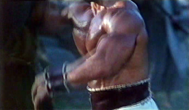 Lou Ferrigno Hercules