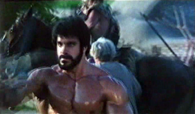 Lou Ferrigno Hercules