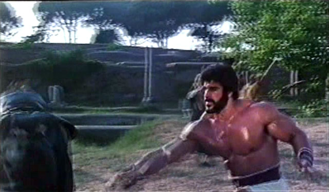 Lou Ferrigno Hercules