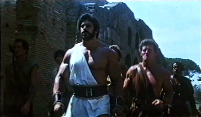 Lou Ferrigno Hercules