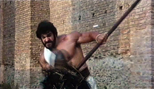 Lou Ferrigno Hercules