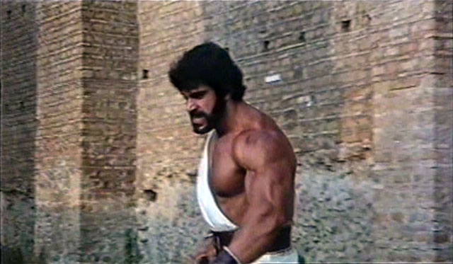 Lou Ferrigno Hercules