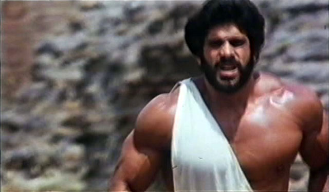 Lou Ferrigno Hercules