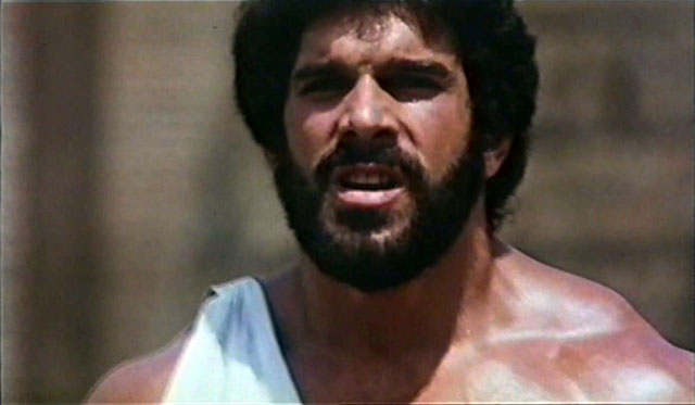 Lou Ferrigno Hercules