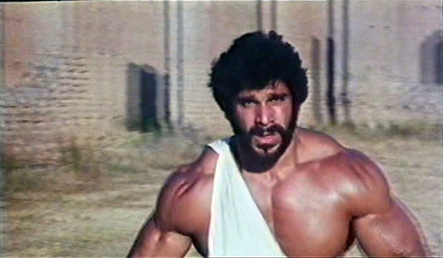 Lou Ferrigno Hercules