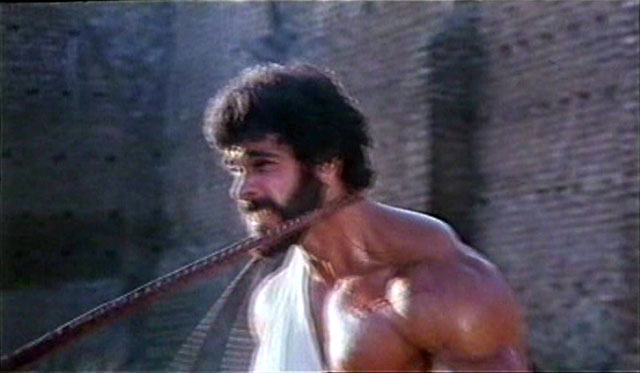 Lou Ferrigno Hercules