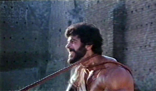 Lou Ferrigno Hercules