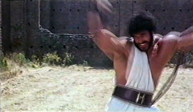 Lou Ferrigno Hercules